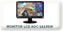 MONITOR LCD AOC 1619SW